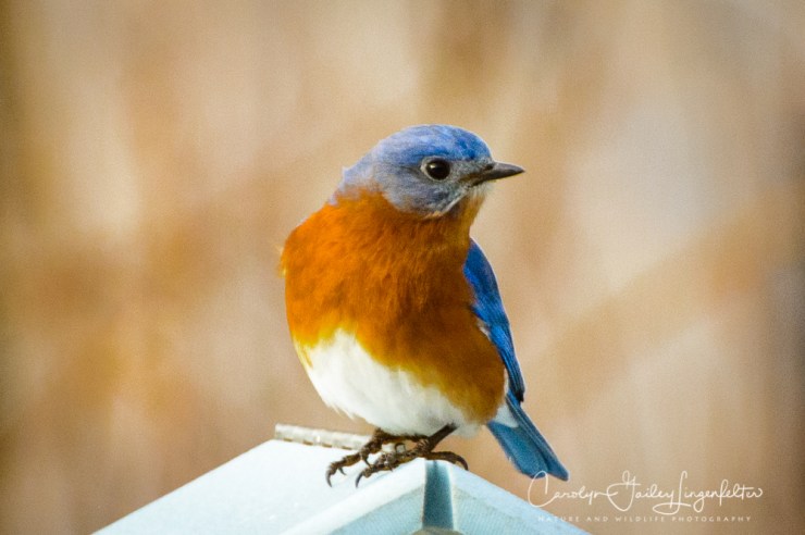 2020_01_01__untitleduntitled shoot_0016