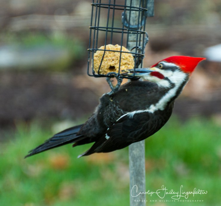 2020_03_26__untitled shoot_0001