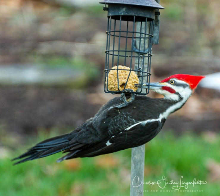 2020_03_26__untitled shoot_0002