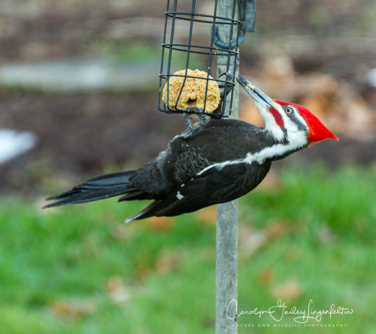 2020_03_26__untitled shoot_0003