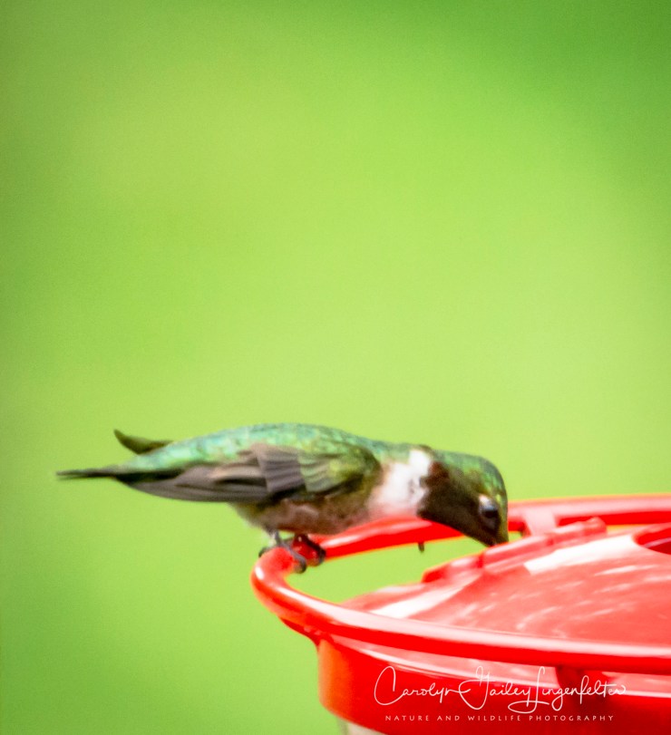 2020_06_21_1824_0002