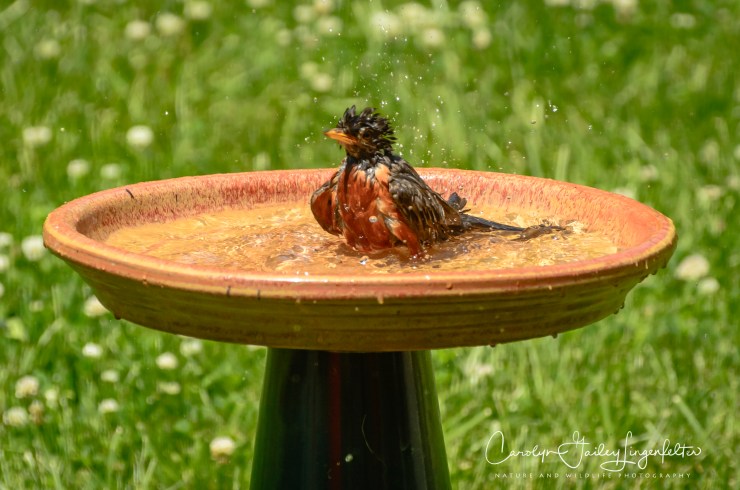 2020_06_25_0012_0004