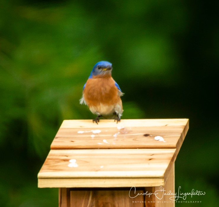 2020_06_27__untitled shoot_0004