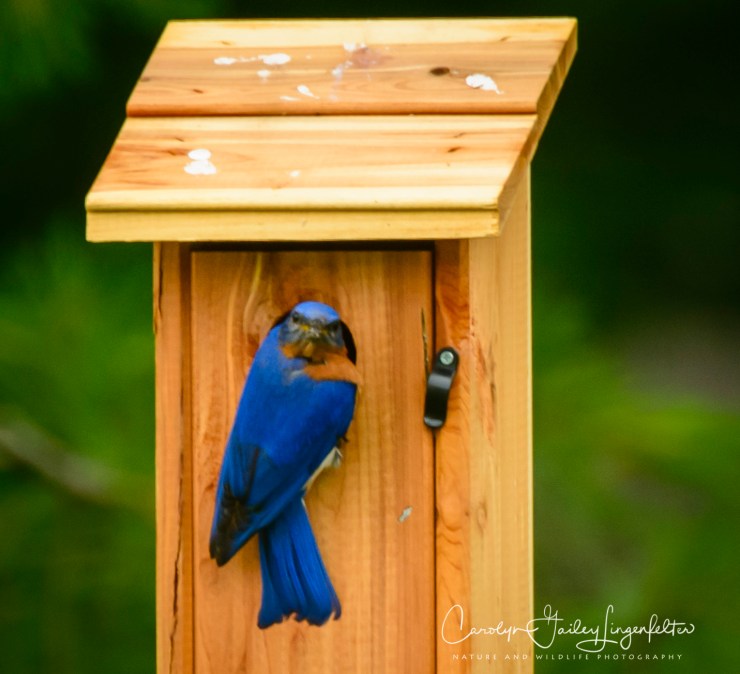 2020_06_27__untitled shoot_0019