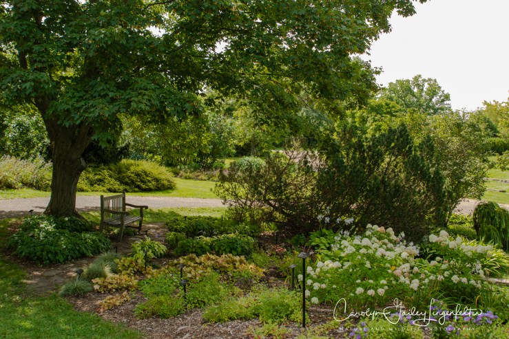 Holden Arboretum_08_12_0001