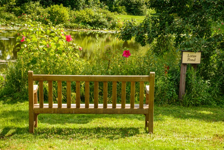 Holden Arboretum_08_12_0031