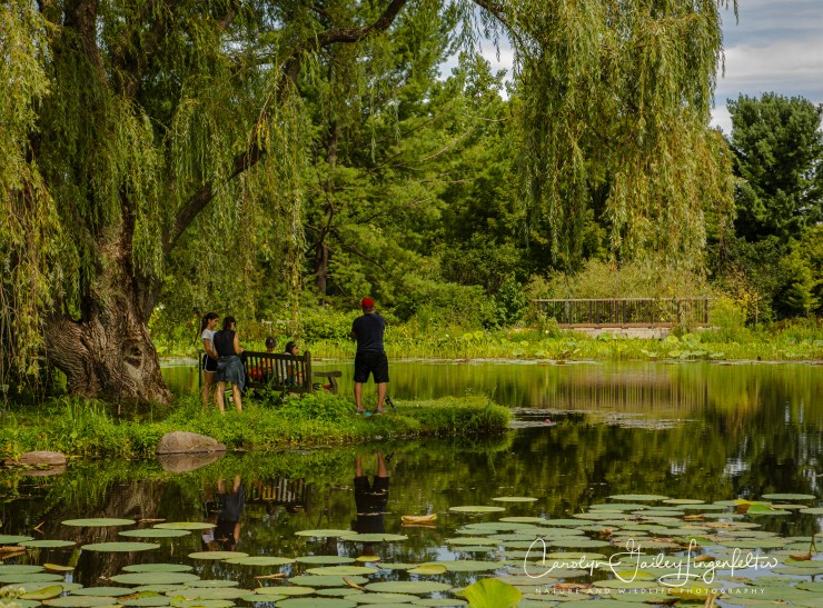 Holden Arboretum_08_12_0035