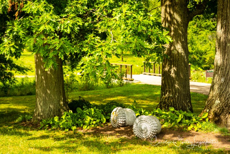 Holden Arboretum_08_12_0047