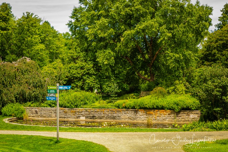 Holden Arboretum_08_12_0058